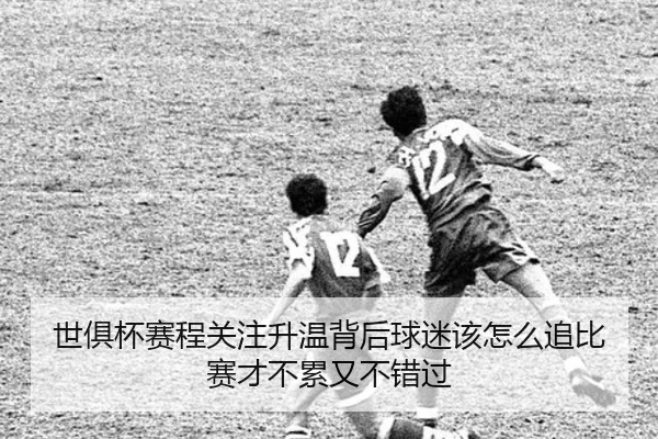 img_1783319605455_63_1_754.jpg